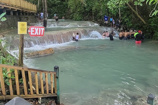 Horseback 'Ride N Swim' & Dunns River Falls from Montego Bay - The land and sea horseback ride: what to expect and how to enjoy it