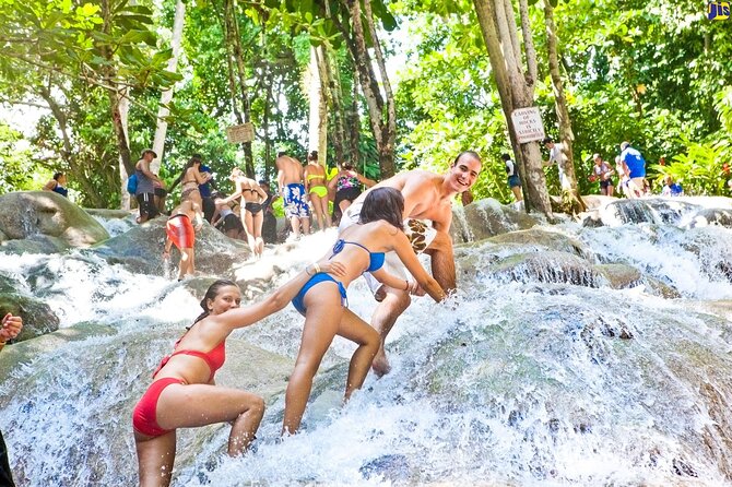 Horseback 'Ride N Swim' & Dunns River Falls from Montego Bay - Extra cultural stops: White Witch and Greenwood Great House