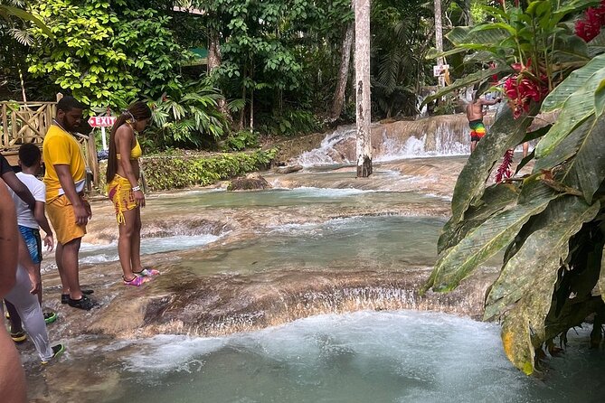 Horseback 'Ride N Swim' & Dunns River Falls from Montego Bay - The rest of your day: make Montego Bay work for you