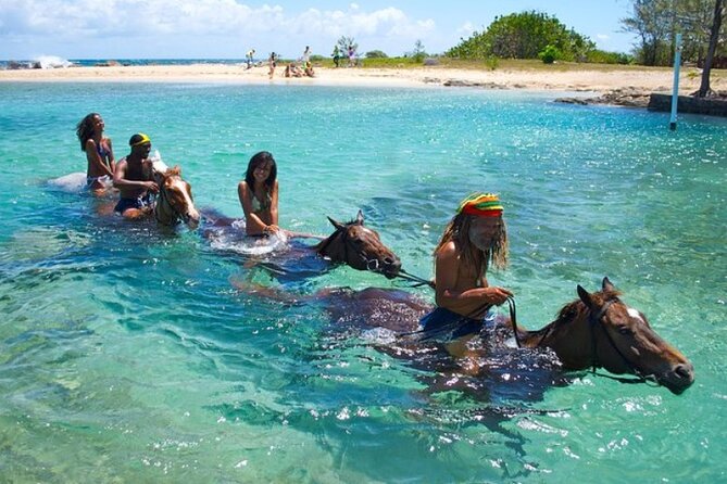 Horseback Ride & Swim Jamaica/Montego Bay - Key Highlights You Can Plan Around
