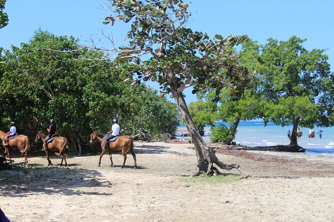 Horseback Ride & Swim Jamaica/Montego Bay - Beach Time and the Swim: What to Expect When You Hit the Water