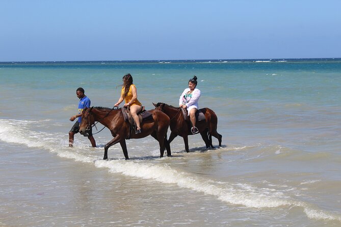 Horseback Ride & Swim Jamaica/Montego Bay - Value and Price: Is $150 Worth It for You?