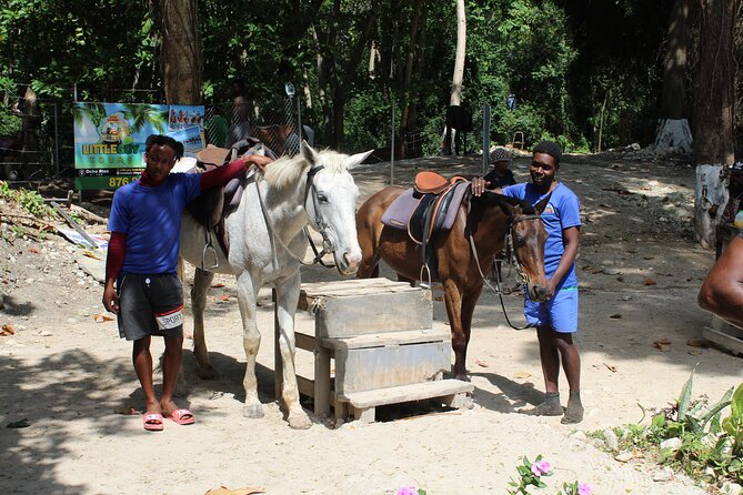 Horseback Ride & Swim Jamaica/Montego Bay - A Realistic Look at Variability: Ride Time and Safety Comfort
