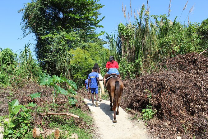 Horseback Ride & Swim Jamaica/Montego Bay - Who This Horseback Ride and Swim Suits Best
