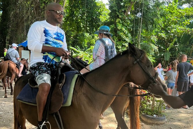 Horseback Riding Adventure in Jamaica - Should You Book Island Treasure Tours & Excursions?