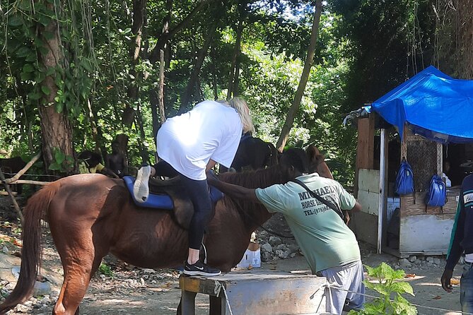 Horseback Riding, Bluehole Secret Falls, Dunns River tour from Montego Bay - Price and Value: What $220 Per Person Is Really Buying