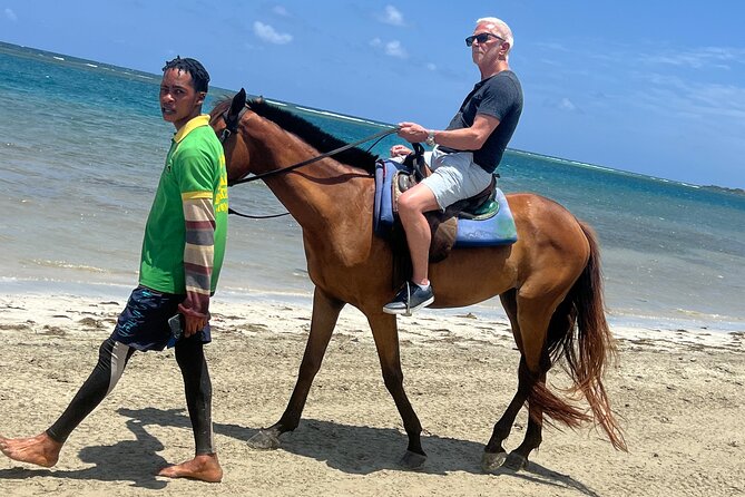 Horseback riding & bluehole secret falls from Montego Bay - Key highlights you’ll feel right away