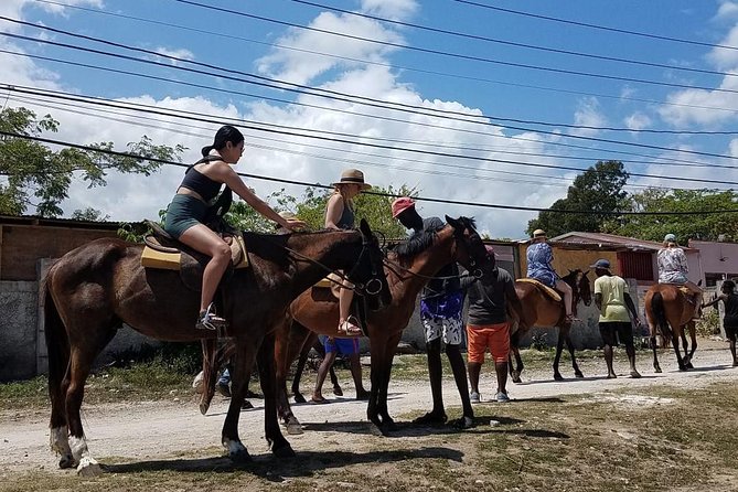 Horseback Riding from Montego Bay - Price and value: what $200 includes, and where the value shows up
