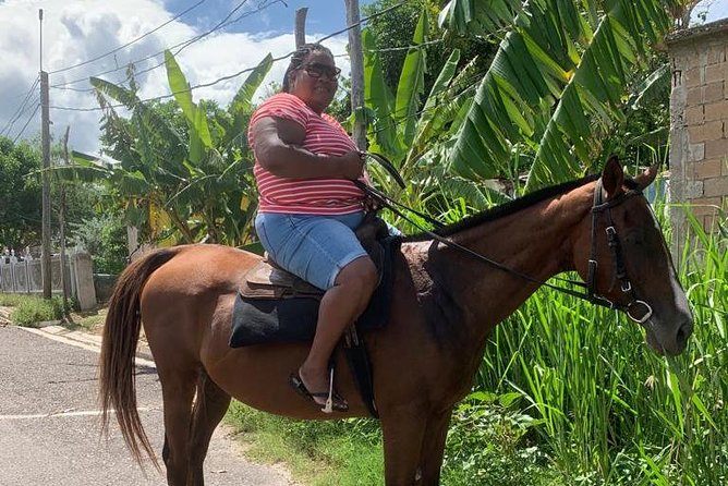 Horseback Riding from Montego Bay - Transport comfort: AC, pickup timing, and what to verify