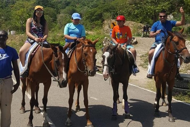 Horseback Riding from Montego Bay - Who should book this horseback ride from Montego Bay, and who should skip
