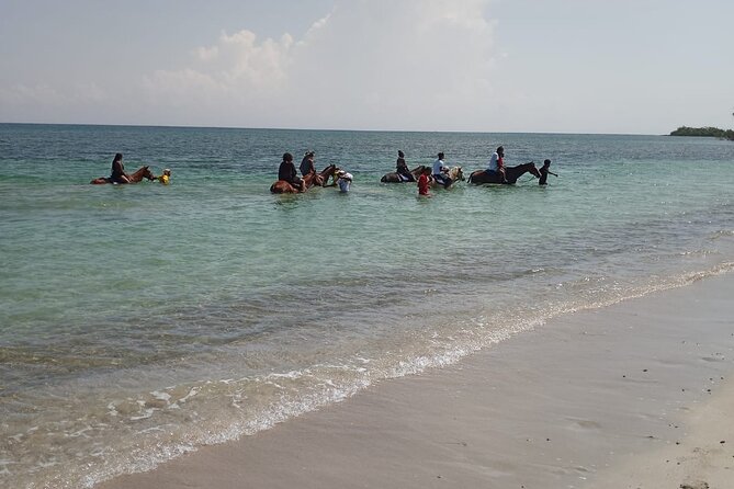 Horseback Riding plus Dunns River Falls Combo Private Tour - How the 5 to 6 hour day actually works with private pickup