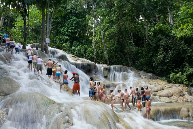 Horseback Riding plus Dunns River Falls Combo Private Tour - Should you book this Horseback Riding plus Dunn’s River Falls combo?