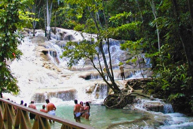 Horseback Riding plus Dunns River Falls Combo Private Tour - Dunn’s River Falls Park: wet climb versus dry trail