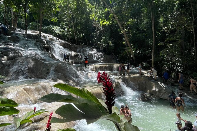 Horseback Riding/Swimming and Dunn's River from Ocho Rios - Who Should Book This Horse-and-Falls Combo?