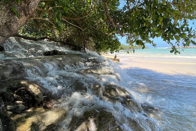 Horseback Riding/Swimming and Dunn's River from Ocho Rios - Should You Book This Tour?