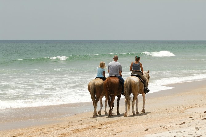 Horseback “SPECIAL”- Negril’s Beach Ride N’ Swim with Free photos/videos - What you’ll learn along the way: plants, trees, and why mangroves matter