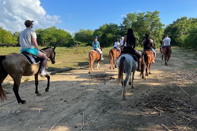 Horseback “SPECIAL”- Negril’s Beach Ride N’ Swim with Free photos/videos - The ocean ride and swim: thrilling, but prep matters