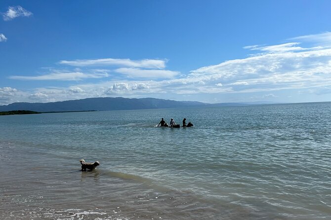 Horseback “SPECIAL”- Negril’s Beach Ride N’ Swim with Free photos/videos - Pickup timing, weather, and the one thing you should not ignore