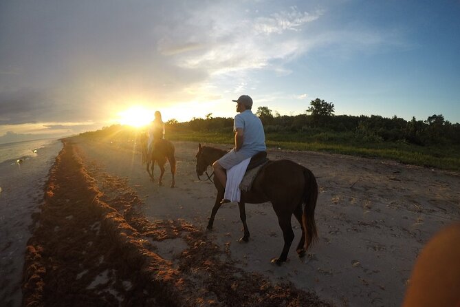 Horseback “SPECIAL”- Negril’s Beach Ride N’ Swim with Free photos/videos - Your 1.5 hour flow: trail ride, mangroves, private beach, ocean swim