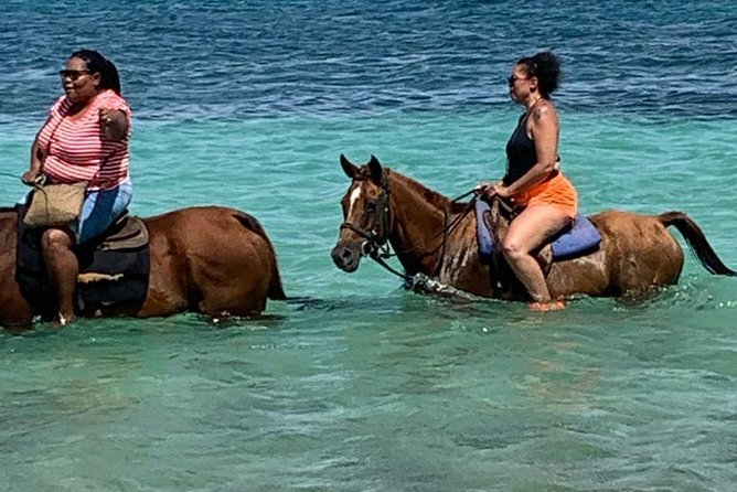 Hour Horseback Riding Guided Tour from Runaway Bay - Key highlights at a glance