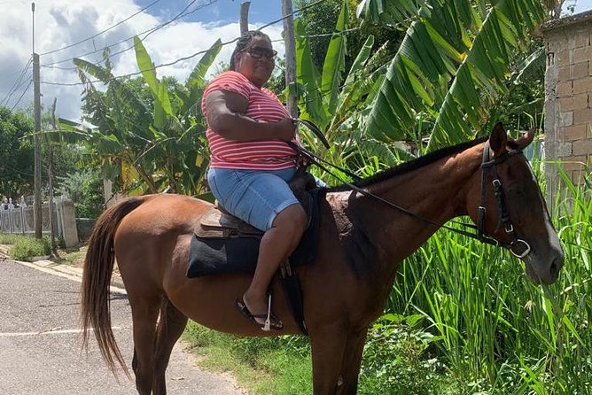 Hour Horseback Riding Guided Tour from Runaway Bay - Why this Runaway Bay horse ride feels so grounded