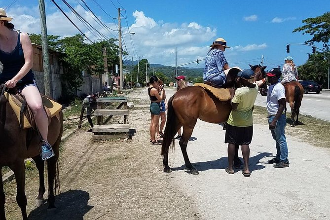 Hour Horseback Riding Guided Tour from Runaway Bay - River swim time: when you want more than just salt water