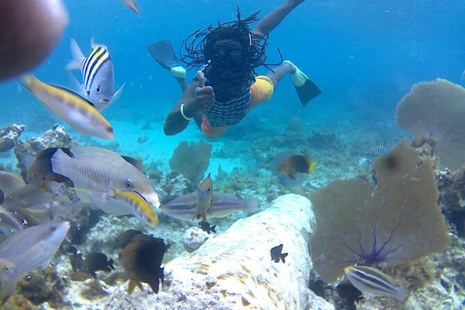 Incredible Negril Guided Snorkeling To Reef, Anchor, and Cannon - Key things you should know before you go