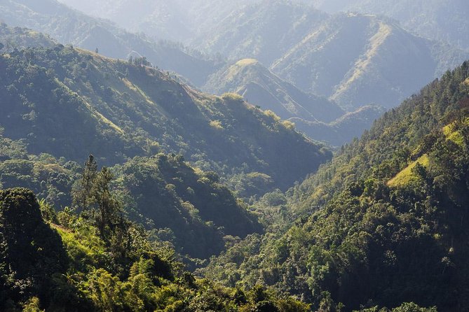 Jamaica Blue Mountain Guided Nature Tour - Key highlights that shape the whole day