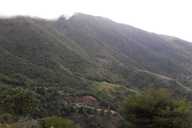 Jamaica Blue Mountain Guided Nature Tour - New Castle, St. Andrew, British barracks and a 17th century canon