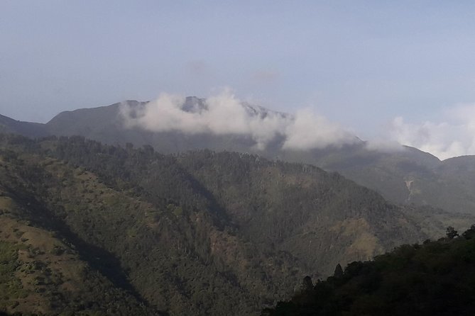Jamaica Blue Mountain Guided Nature Tour - Irish Town, the local escape from Kingston heat