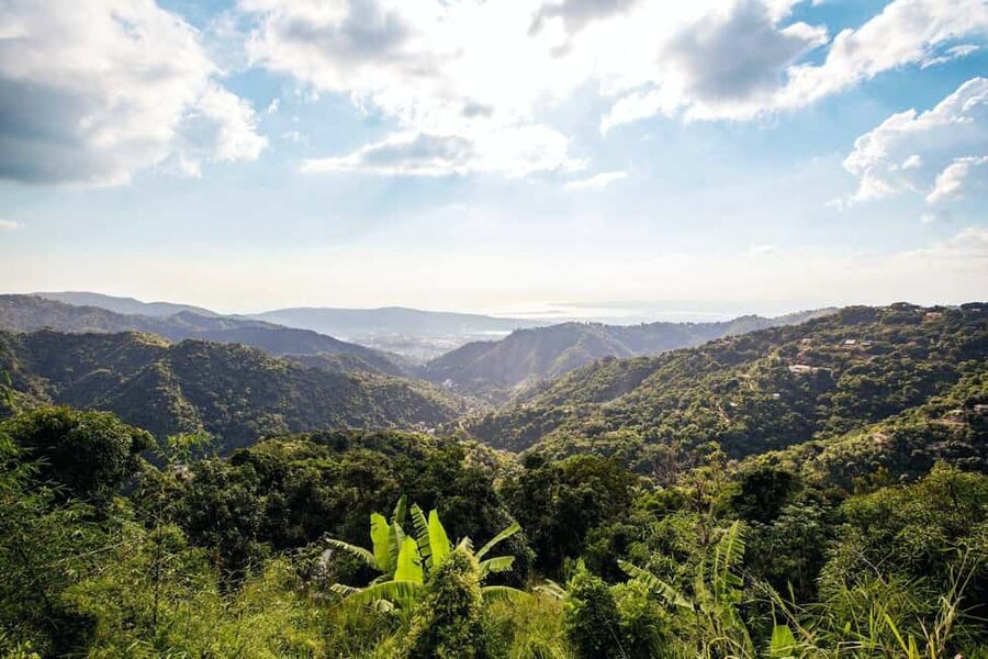 Jamaica: Blue Mountains Full Day Tour with Brunch & Lunch - Getting your bearings in Jamaica’s mountain rainforests