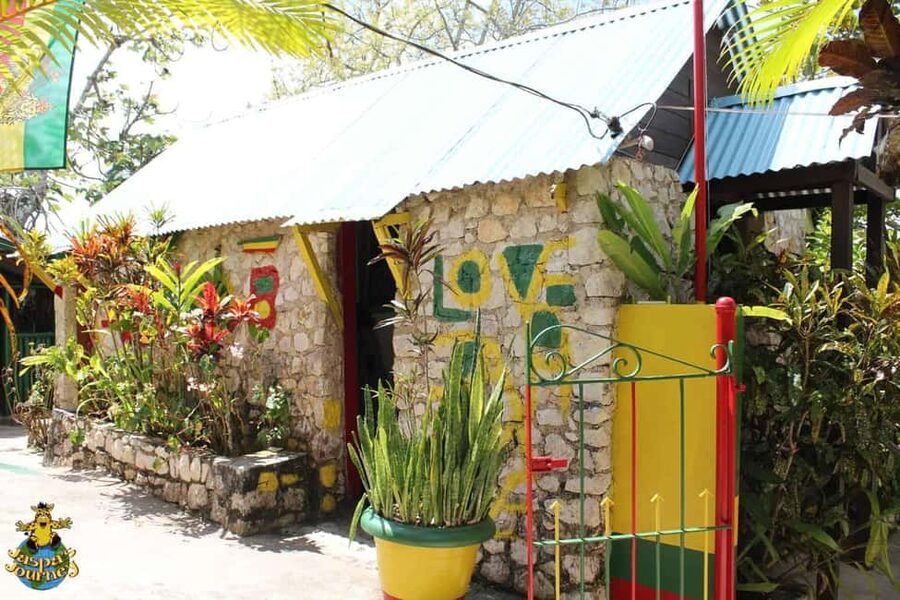 Jamaica: Bob Marley, Dunn's River Falls and Luminous Lagoon - Nine Mile Marley Childhood Home With Rastafarian Storytelling