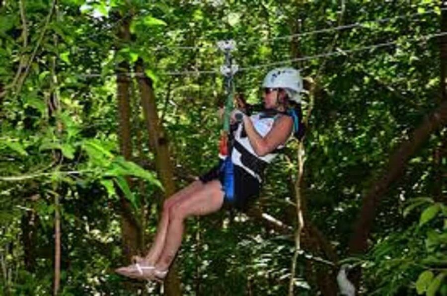 Jamaica Bobsled and Zip Line Adventure Tour - Key Things to Know Before You Go
