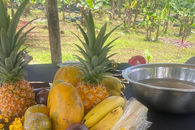 Jamaica Farm Private Dispensary Tour Montego Bay - Private guides, short time, and why it can feel better than group tours