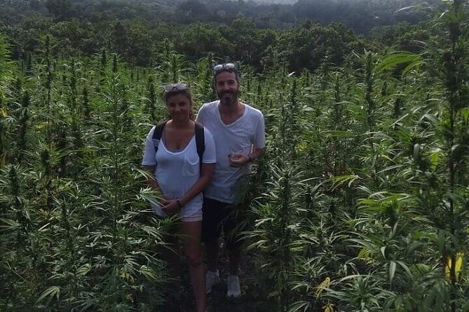 Jamaica Farm Private Dispensary Tour Montego Bay - Sam Sharpe Square: a short history stop that doesn’t eat the day