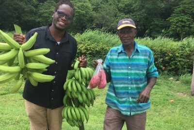 Jamaica Foodie and Cultural Experience & Konoko Falls Ocho Rios