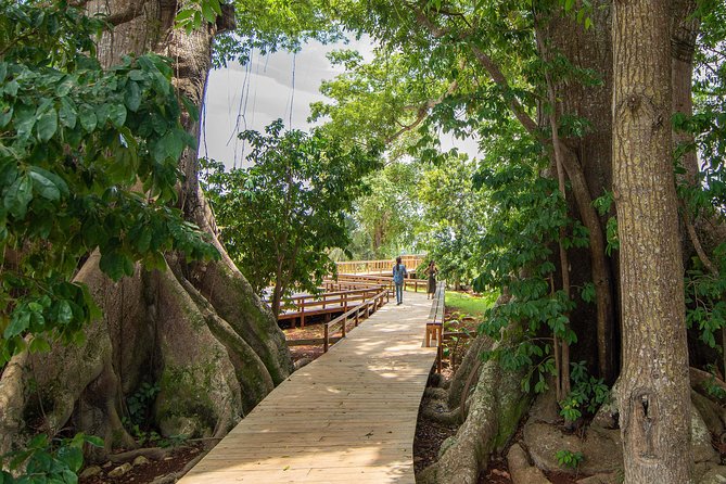 Jamaica Giants sculpture park, art galleries - Getting up the hills: pickup, the ride, and what to expect