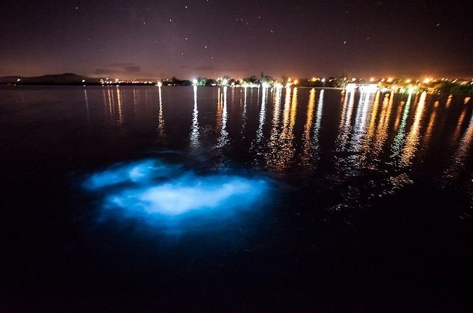 Jamaica Luminous Lagoon Private Tour with Transportation - Timing, weather, and how to plan your Montego Bay evening
