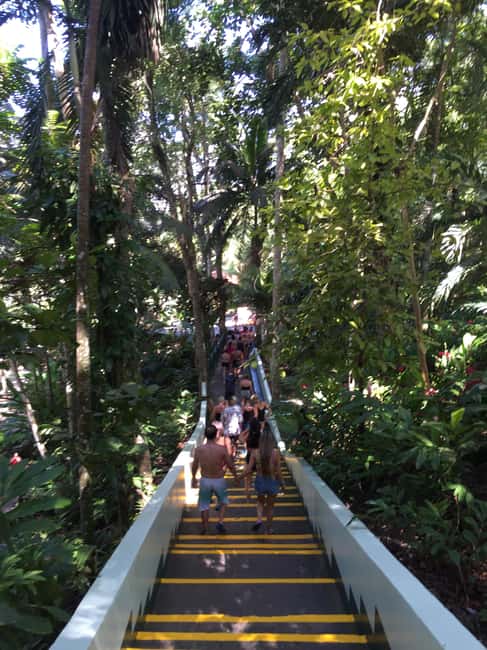Jamaica's Dunn's River Falls & River Tubing Tour - Price and value: what $55 really buys, and how much to budget