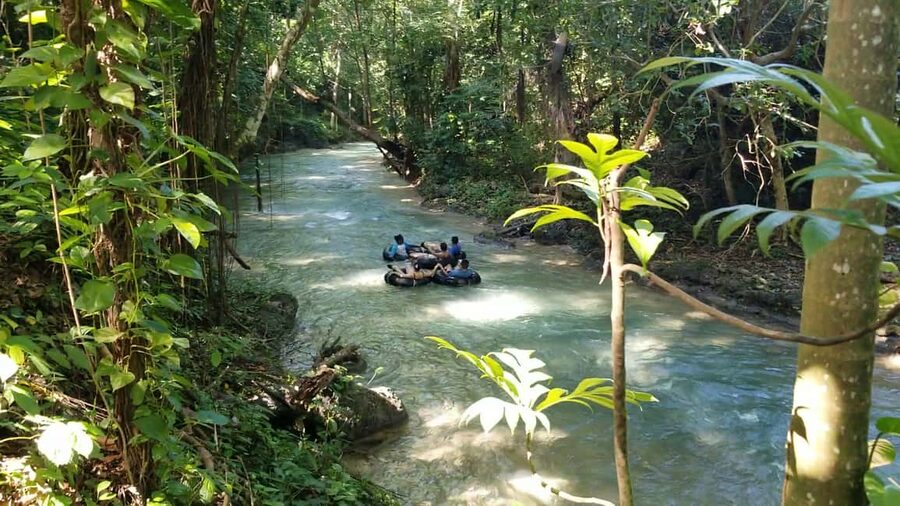 Jamaica's Dunn's River Falls & River Tubing Tour - Dunn’s River Falls: climb 600 feet or enjoy the park from below