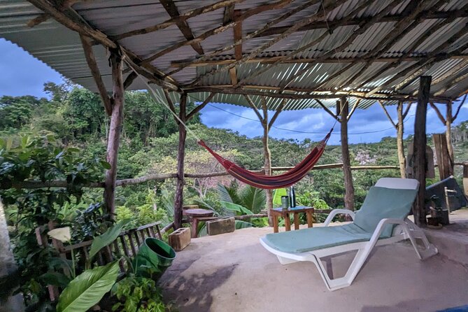 Jamaican Roots Tropical Farm Tour - Taste & Explore (Negril) 2hr - Price and value for a $98, 2.5-hour farm visit