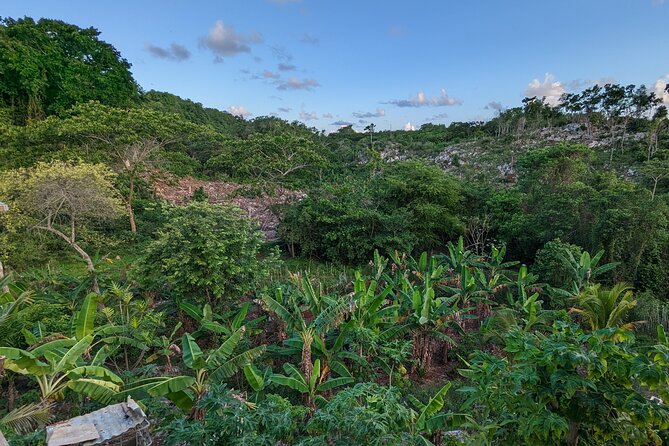 Jamaican Roots Tropical Farm Tour - Taste & Explore (Negril) 2hr - Who this tour suits best, and who might want another option