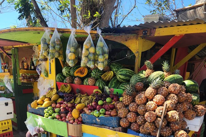 Jamaican Street Food and Rum Tasting Private Tour - Key points before you go