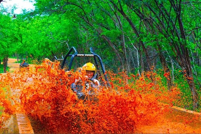 Jamwest ATV Off-Road Adventure & Zipline Combo in Negril - Price and value: is $169 a fair deal?