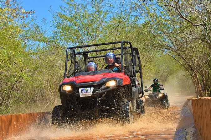 Jamwest ATV Tour to Salmon Point from Negril - Common Good News and Common Friction Points to Know