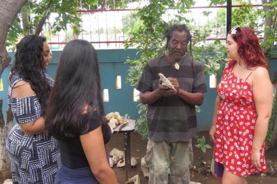 Kingston City Tour (starting in Kingston)