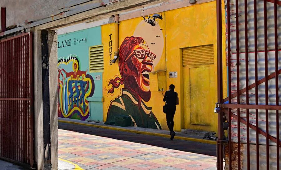 Kingston Creative: Mural Art Walking Tour - Should you book this Kingston Creative mural art walking tour?