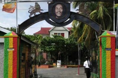 Kingston Day Trip -Devon House, Bob Marley & National Art Gallery