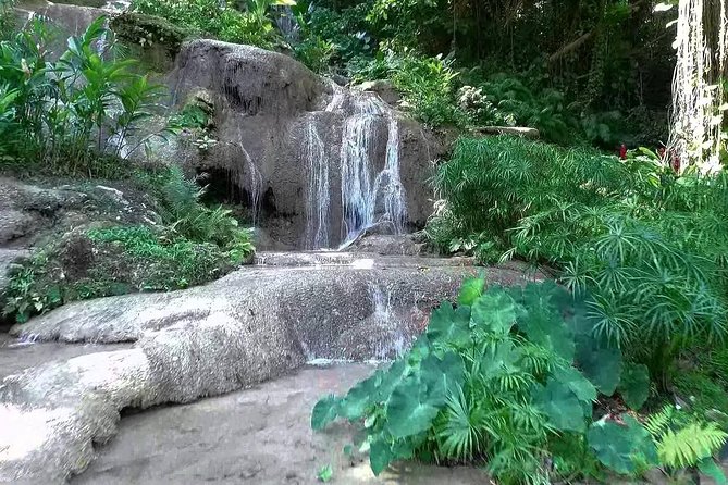 Konoko Falls and Tropical Garden Tour from Ocho Rios - Konoko Falls in context: a half-day that’s easy to justify