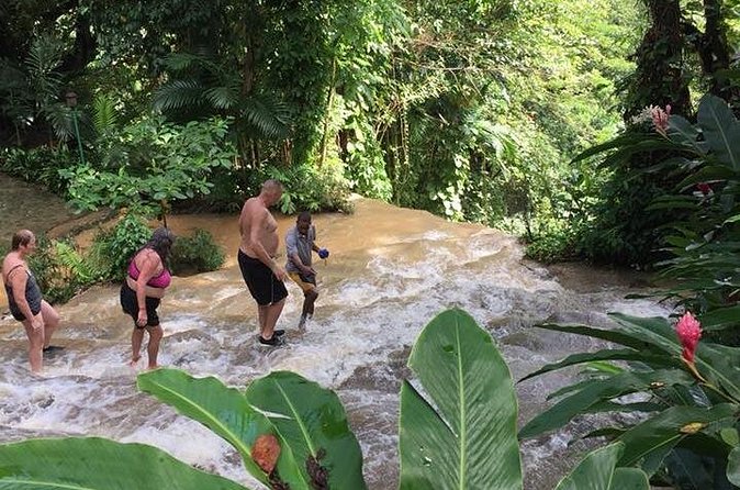Konoko Falls and Tropical Garden Tour from Ocho Rios - What the top of Konoko Falls gives you (and when to aim for photos)